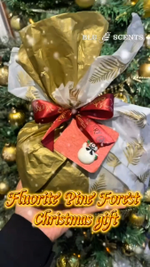 Blu Scents Fluorite Pine Forest Christmas Gift - Pine Needle germs killer crystal raw stone