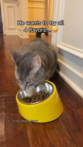 Temptations Cat Treats 75g