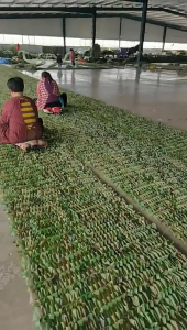 ตาข่ายพราง กองทัพ Camo ตาข่าย สุทธิที่ร่ม ที่พักพิงดวงอาทิตย์ ตาข่ายลายพรางทหารล่าสัตว์ 8 ขนาด