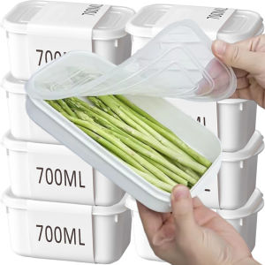 700ml Food Storage Box with Cover / Plastic Sealed Food Storage Container / Japanese Frozen Meat Packaging Box