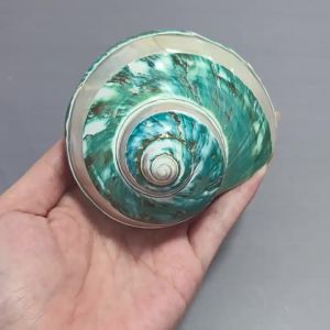 Aquarium Ornament Home Decor Gift