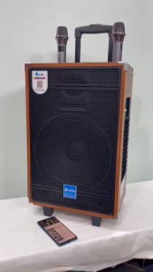 Loa kéo Bluetooth AZ-V-12-ABass 30chính hãng AZPRO thùng gỗ cao cấpMạch 12 núm chỉnh có Revert