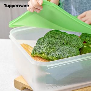 Tupperware | Food Grade Filtered Freshness Box 9.4L