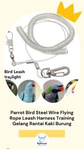 Mylilangelz Ultra-Light Coiled Bird Leash Wire Flying Rope with Swivel Snaps for Secure Outdoor Training and Flight