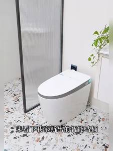 TEM | Intelligent Wall-mounted Rear Install Toilet