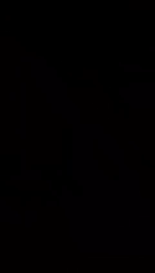 Setelan Anak Perempuan 1-10 Tahun Adem Tebal Motif Angka Ballerina Cappucina Ungu Motif LUCU