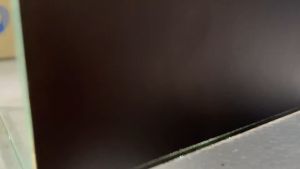 โหลปลากัด 8 นิ้ว พื้นหลังตู้สีดำ