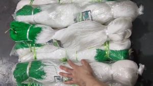 3.5Mx100M Garden Plant Climbing Net Cucumber Vegetables Trellis Net Plant Support Netting White Nylon Support Mesh