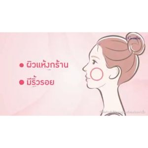 วีท เซราไมด์ พลัส กิฟฟารีน น้ำมันมะกอก วิตามินอี Wheat Ceramide Plus น้ำมันจมูกข้าวสาลี อาหารเสริมผิว บำรุงผิว