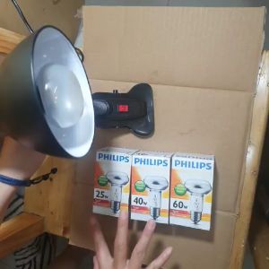 Paket Lampu Penghangat Philips Spot NR 63 40 Watt + Fitting Sorot Jepit + Kabel 140 CM + Saklar On Off