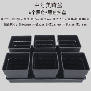 Meizhong Square Root-Controlling Basin Base Support Water Tray Breathable Large Diameter Plastic Meat Dendrobe Vientiane Potted Succulent Flower Pot