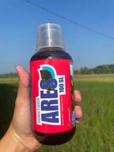 ARES 100sl isi 500 ml insektisida sistemik kontak dan lambung untuk mengendalikan hama pada tanaman cabai dan padi sawah
