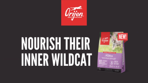 Orijen Kitten Formula Grain Free Complete Cat Food 1.8KG