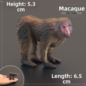 MENGSILE | Solid Monkey Model for Kids Decoration Gift