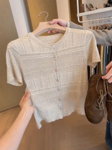 DUOFEIYAN | Vintage Style Lace Hollow Out Ice Silk Knit T-shirt