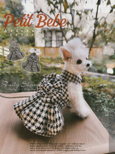 Autumn Winter Dog Clothes Skirt for Small Dogs And Cats Princess Bear Doll Leash Included Pet Fashion Dog Dress Cat Costume