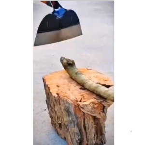 Cangkul Pembasmi Tanah Sumbat Baja Mangan Multifungsi untuk Kebun cangkul kepala pengganti baja