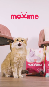 7kg Maxime Pet Cat Dry Food All Stages Adult Kitten Cats Balanced Nutritious Healthy Meal Essentials