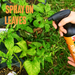 Organic Frass Vitaliser 500ML