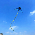 1.6m delta kites flying wind kites outdoor toys for children's flying deer sports beach professional kite octopus kite kevlar. 