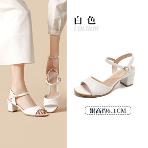 Dadong Womens Sandals 2024 Summer New Arrival Elegance High Heel Chunky Heel Open Toe Pure Color Shoes 3446