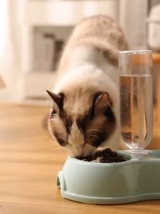 2 In 1 Mangkuk Otomatis Kucing Anjing Tempat Makan Kucing Otomatis Air Minum Anti Semut