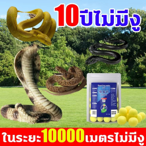 10ปีไม่มีงู กำมะถันไล่งู ในระยะ 10000 เมตรไม่มีงู ยาไล่งู 1เม็ดใช้ได้1ปี ผงไล่งู กำมะถัน เครื่องไล่งู ไล่งู ยาไล่งูรอบบ้าน ไล่แมลง สารไล่งู กำมะถันผงไล่งู ยากันงู ผงไล่งู ตัวเงินตัวทองแมลงและสัตว์เลื้อยคลานทุกชนิด 1 แพ็คมี10ผงไล่งู
