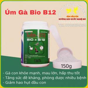 Bio B12 Úm gà con Gà Đá Hủ 100G Thái Lan
