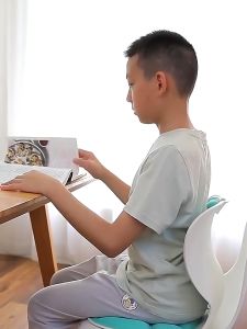 Posture Corrector Chair & Lumbar Back Support Cushion: A Comprehensive Guide