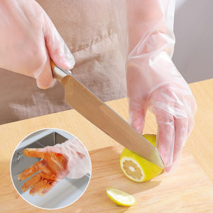 Food Grade Disposable Extended Thickened Gloves Kitchen Dishwashing And Vegetables Cleaning Waterproof And Oil-proof Gloves