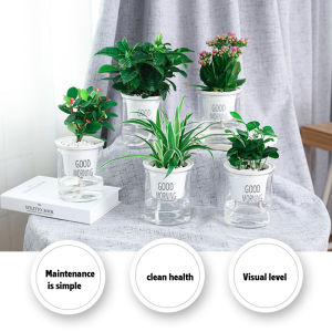 Chậu Hoa Tròn Chậu Tưới Nước Chậu Hoa Cây Tự Tưới 2 Lớp Thủ Công Kèm Bình Đựng Nước Trang Trí Sân Vườn Nhà Cửa