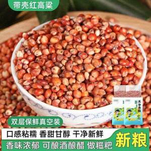 With Hull Red Sorghum Rice Grains