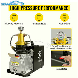 【5 year warranty】Tuxing TXES031 4500psi 300bar 30MPa PCP Adjustable High Pressure Air Compressor Submerged Gas Cylinder Filling High Pressure Pump