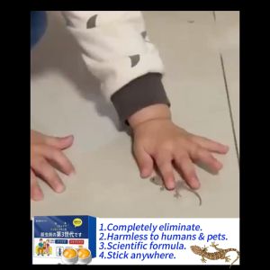 【No effect full refund】lizard repellent lizard killer gecko killer gecko repellent Ubat cicak paling berkesan racun cicak paling kuat 壁虎驱除剂 壁虎克星 壁虎药 Non-toxic and odorless