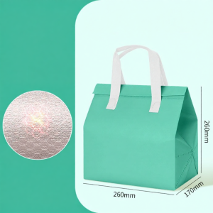 YINGXIKE | Disposable Nonwoven Aluminum Foil Insulation Bag