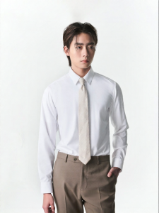 Men Formal Long Sleeve Shirt