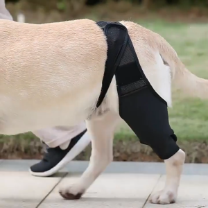 Pet Knee Pads Legs Wrap Adjustable Dog Bandages For Help Weak Legs Dog Protector Support