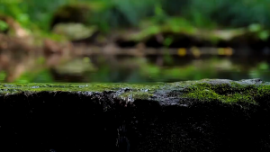 (SG Seller)Outdoor Camping Chair Portable folding Ultralight leisure Fishing Picnic Chair Travel Chairs Beach Chairs