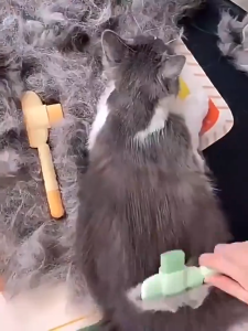 Pet Silicone Bath Brush Comb Cat Dog Magic 1-Second Hair Removal Massage Comfort Hairbrush Tool Kucing Anjing