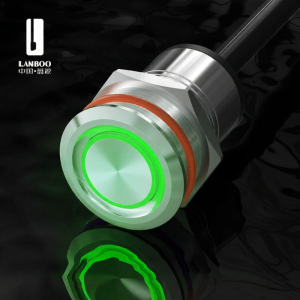 LANBOO | Waterproof Resettable Self-Locking LED Push Button Switch 22mm
