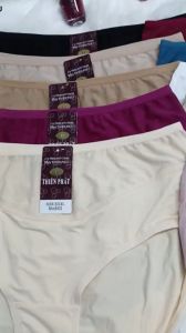 10 quần lót nữ thun lạnh  cao cấp phom to mã 843- My Loan 42