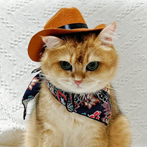 Cute Western Cowboy Pet Dog Hat Cat Sun Protection Hat Photo Prop Small Medium Size Dogs Fashionable Pet Accessory