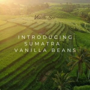 Vanilla Beans Sumatra Grade A Exquisite Aroma 100gr
