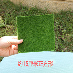 Artificial Pine Tree Decoration Small round Table Floral Landscape Decoration Sand Model Tree Green Plant Nursery Photography Props