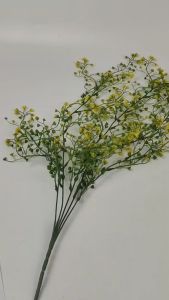 Daun Juntai Lonceng & Tanaman Gantung Hias