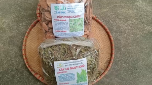 1kg cây chạc chìu sấy khô TẶNG 100G CỎ NGỌT