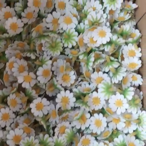 Đầu bông cúc tanda nhí bằng giấy mỹ thuật ( bịch 100 bông ) - cúc hoạ mi