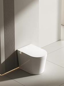 Smart Automatic No Water Pressure Limitations Siphonic Toilet 52cm