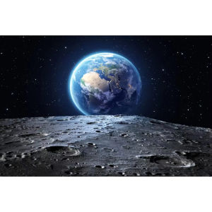 Jigsaw Puzzle 1000pcs Magical Winter Night Forest With Glowing Moon And Stars For Kids Stress Relief Puzzle Fun Present