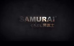 SAMURAI 2K01 TOP COAT SPARY CLEAR EPOXY SPRAY PAINT